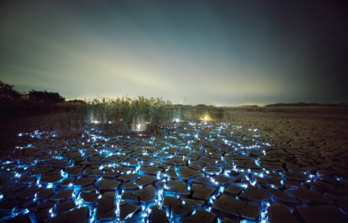 Звездная ночь в траве от Ли Юнъел (7 фото)