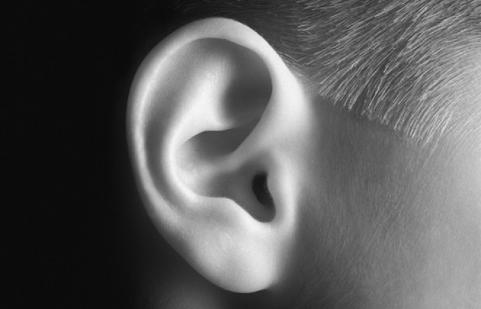 Ваше правое ухо лучше слышит речь, а левое — музыку