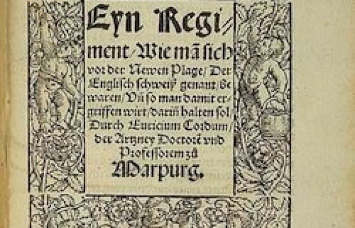 В 16-м веке половина населения Европы умерла от таинственного «Английского пота»