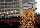 Chicago Ducky Derby 2022: более 70 000 резиновых утят выпустили в реку Чикаго