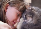 5 причин, по которым кошки лижут волосы хозяина