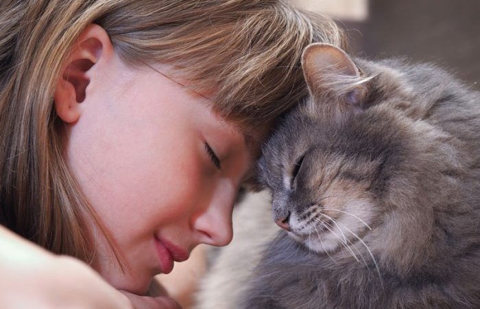 5 причин, по которым кошки лижут волосы хозяина