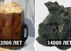 Подборка самых древних продуктов в мире, которые были найдены археологами и учеными (12 фото)
