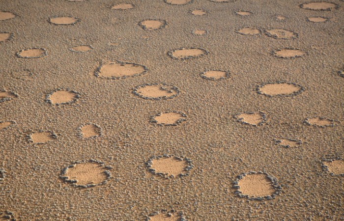 Круги фей: как появились эти загадочные отметины посреди пустыни? 2 версии ученых